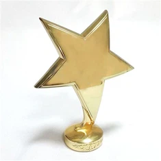 3d Star Metal Trophy Piese